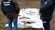 Поліціянти ексгумували на Харківщині тіла п’яти жертв авіабомбардувань рф