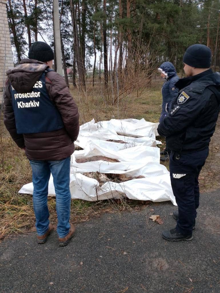 Полицейские эксгумировали на Харьковщине тела пяти жертв авиабомбардировок рф