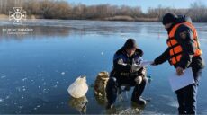 Обережно, лід: на водойми Харківщини вийшли любителі зимової риболовлі (фото)