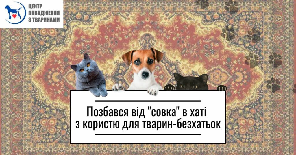 Харківські комунальники оголосили збір старих радянських килимів. Подробиці