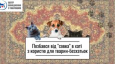 Харківські комунальники оголосили збір старих радянських килимів. Подробиці