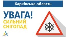 Снігопад на Харківщині: погода ще погіршиться, попередили шляховики