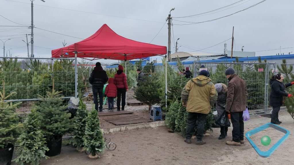 Елочные базары открылись в Харькове: цены — от 100 и до 5000 грн (репортаж)