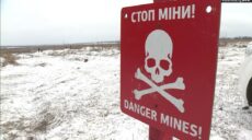 Піротехніки ДСНС знешкодили за добу на Харківщині 44 міни та снаряди