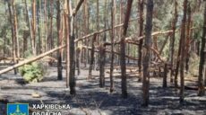 Збитки понад 100 млрд грн. – ціна вторгнення рф для екології Харківщини