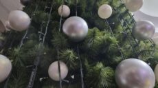 Кілька громад на Харківщині не встановлюватимуть новорічні ялинки