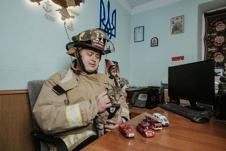Всемирно известный кот Степан проведал в Харькове спасателей ГСЧС