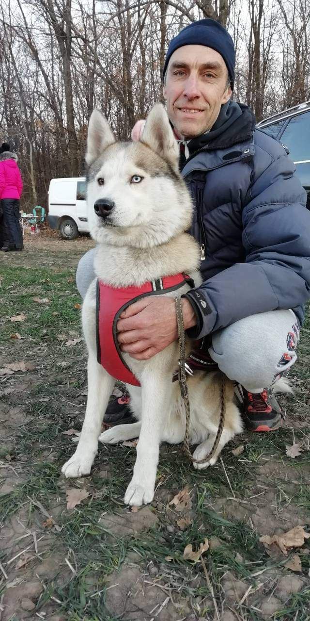 Олег Рудак и хаски Герыч в Боровой