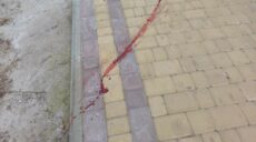 В храме на Харьковщине убили собаку: священник обратился в полицию (фото)