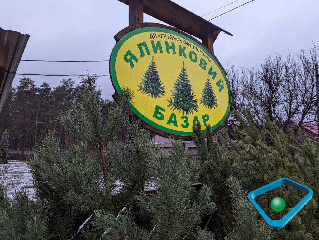 Где на Харьковщине купить бюджетную новогоднюю елку (репортаж)