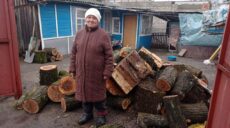 Жителям Харькова начали выдавать дрова для отопления