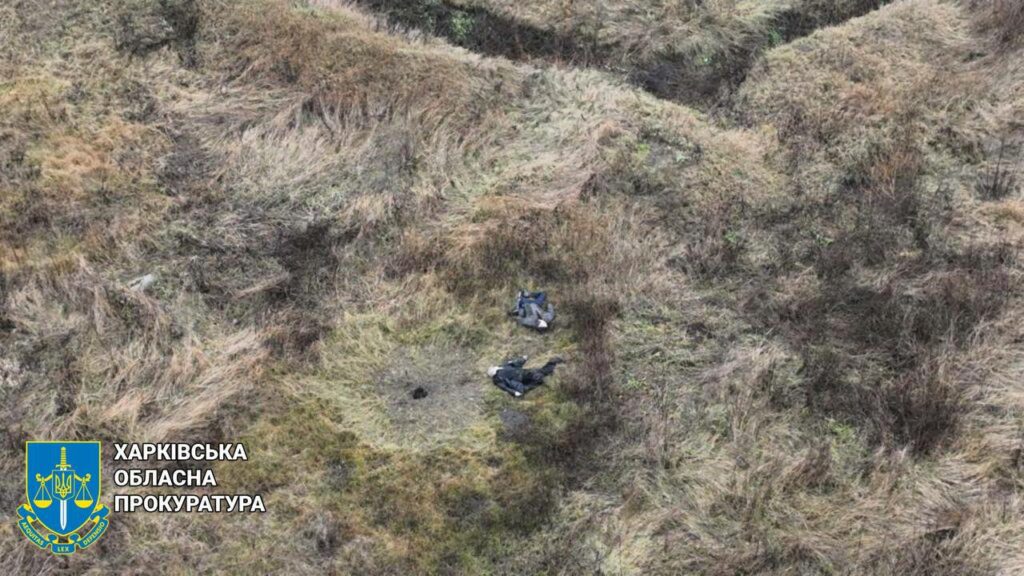 Шукали з дрона: на Харківщині чоловіки пішли за худобою та підірвалися на міні