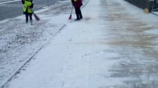 Дороги, двори та центральний парк: Харків розчищають від снігу (фото, відео)
