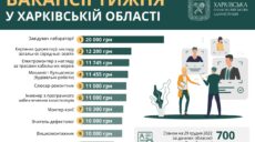 Работа в Харькове: опубликован список актуальных вакансий и зарплат