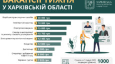 Самая высокооплачиваемая работа в Харькове: ТОП-10 вакансий