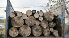 Подать заявку на бесплатные дрова уже нельзя, их развозят по адресам — ХОВА