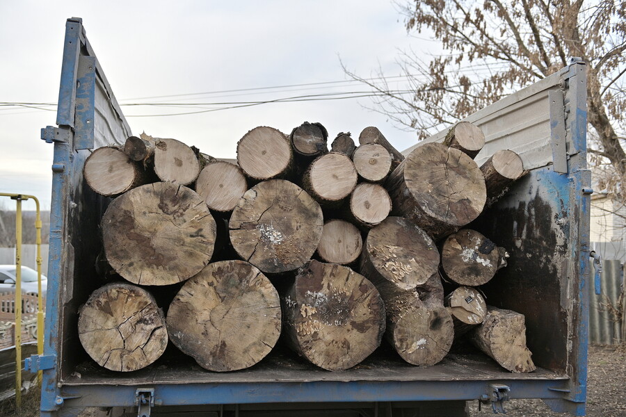 Подать заявку на бесплатные дрова уже нельзя, их развозят по адресам — ХОВА