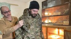 Окупанти вкрали на Харківщині пітона і кинули в танку, тікаючи від ЗСУ