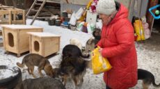 На Харківщині жінка залишилася в окупації, щоб урятувати тварин у селі
