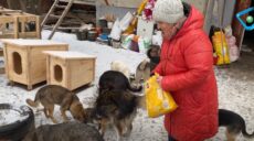 На Харьковщине женщина осталась в оккупации, чтобы спасти животных в селе