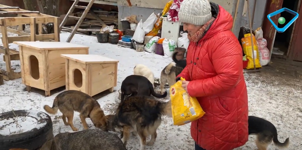 На Харьковщине женщина осталась в оккупации, чтобы спасти животных в селе