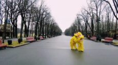 В харьковском парке отмечают Китайский Новый год (видео)