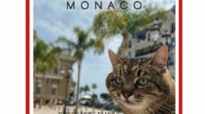 История кота Степана из Харькова попала на обложку Times Monaco Magazine