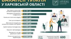 Робота в Харкові та області: топ-10 вакансій тижня із зарплатою до 30 тисяч
