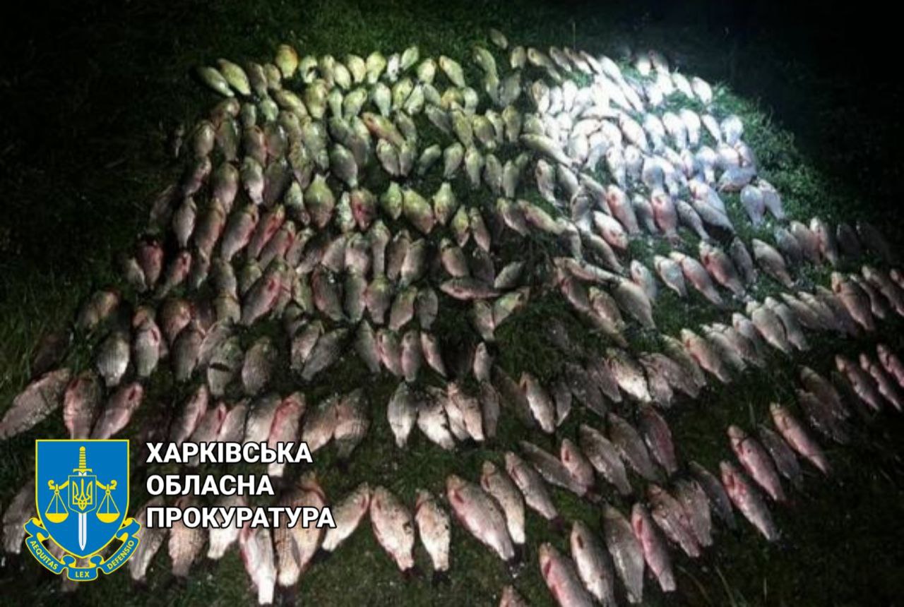 На Харьковщине браконьер наловил рыбы на полмиллиона 2