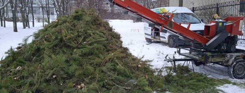 В Харькове елки отправляют на переработку КВБО