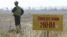 Синєгубов: ведуться переговори з партнерами щодо розмінування полів Харківщини