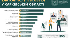 Робота в Харкові та області: рейтинг нових вакансій із зарплатою до 20 тисяч