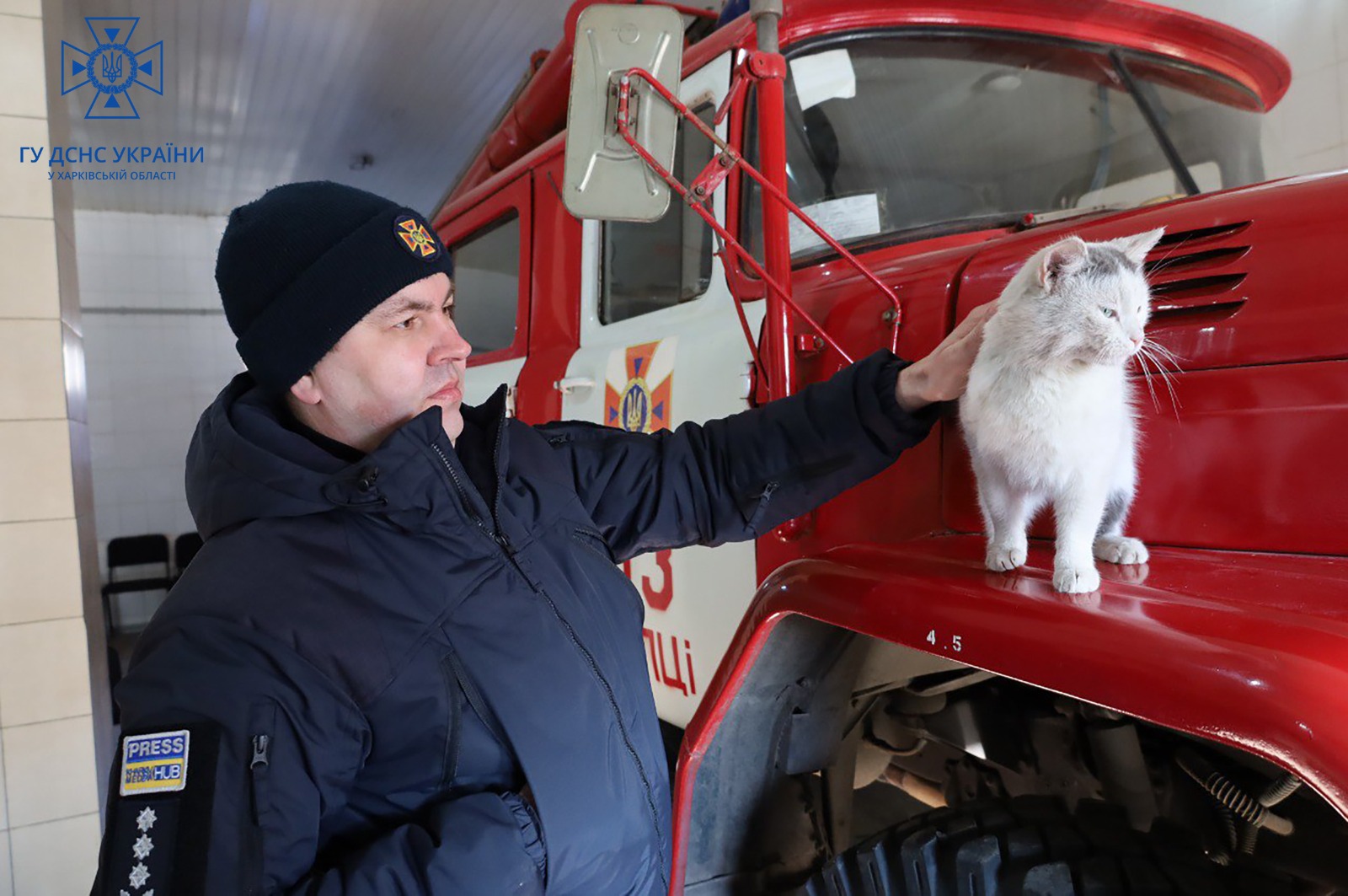 Мини-приют для котов и собак возник в пожарной части под Харьковом (видео)