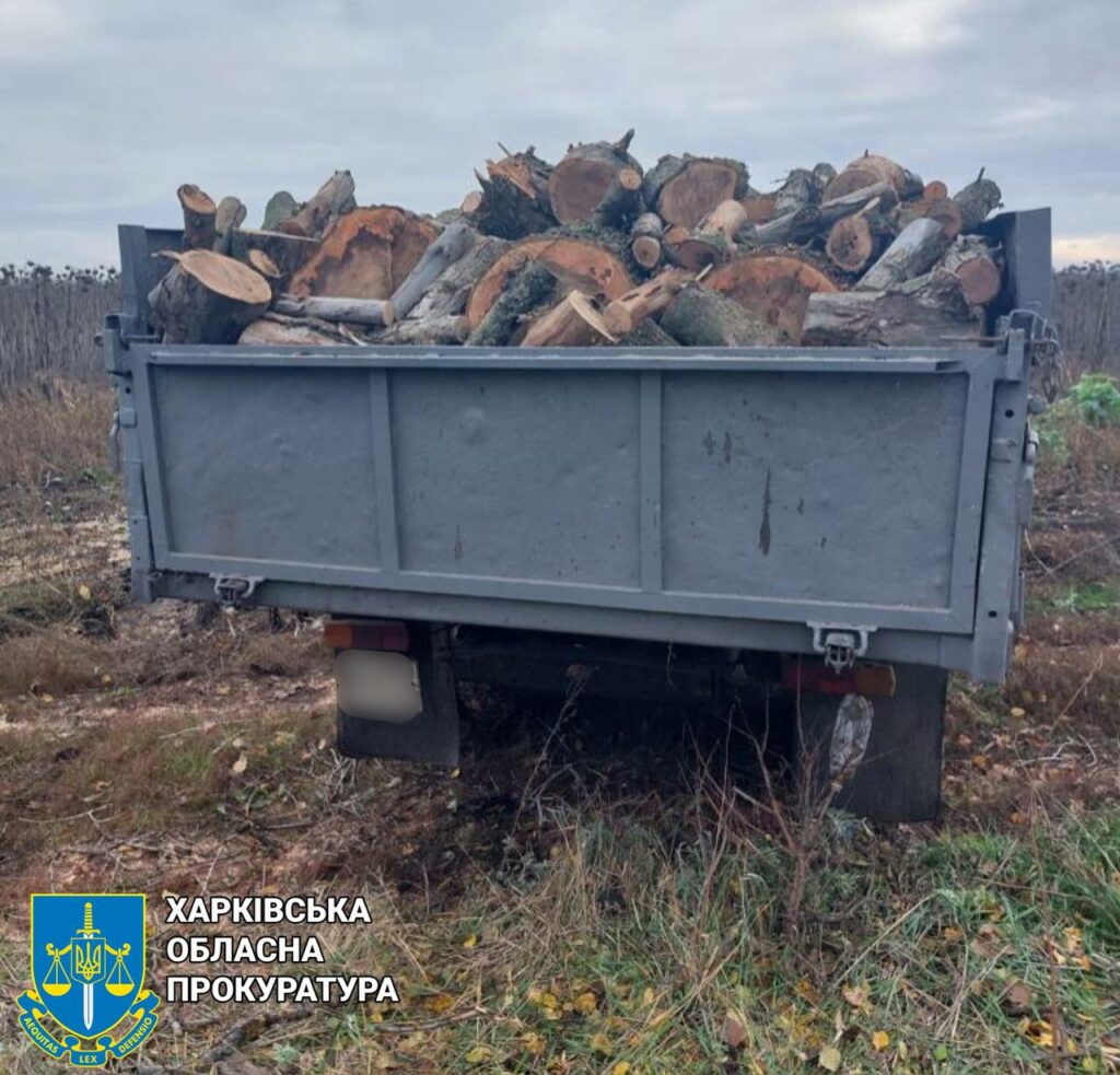 На Харьковщине двое мужчин с бензопилой нарубили деревьев на миллион гривен