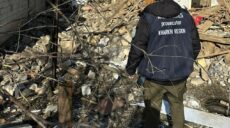 Прокуратура: Розбомблені будинки і постраждала 82-річна жінка на Харківщині
