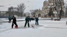 Сніг у Харкові: вулиці розчищають понад 2000 комунальників (фото)