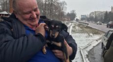 Боец ГСЧС, спасавший харьковчан, приютил таксу из горячей точки на Донетчине