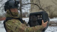 Розбомбило 4 будинки: з “гарячої” Куп’янщини евакуювали котів і собак (відео)