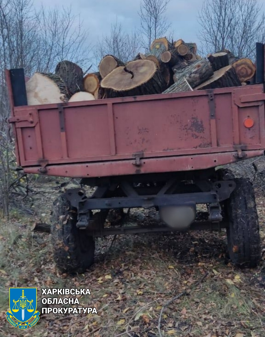 В Харьковской области браконьер нарубил леса на 300 тысяч гривен — прокуратура