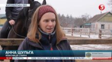 Как жители Харькова вывезли 17 лошадей из зоны боевых действий