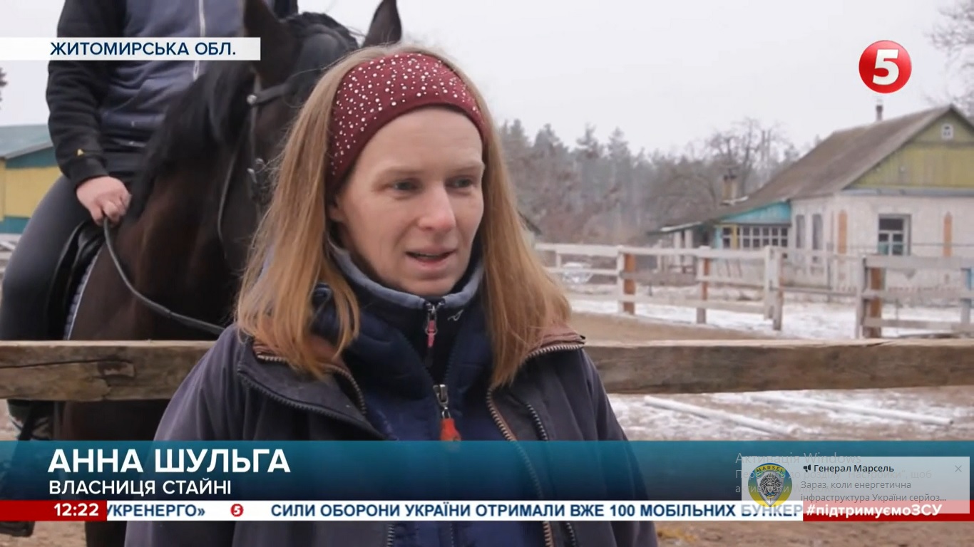 Как жители Харькова вывезли 17 лошадей из зоны боевых действий