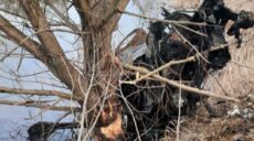 На Харківщині за добу двоє людей підірвалися на мінах – ДСНС