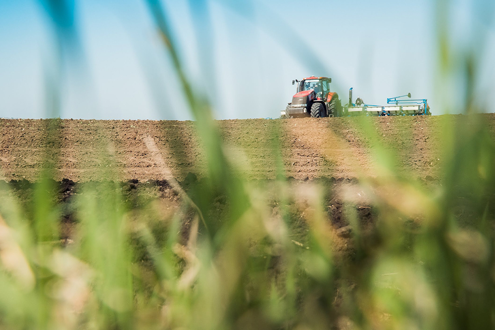 Разминирование полей Харьковщины: помощники приедут на следующей неделе