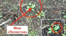 Минная опасность: харьковчан просят не посещать кладбище №17