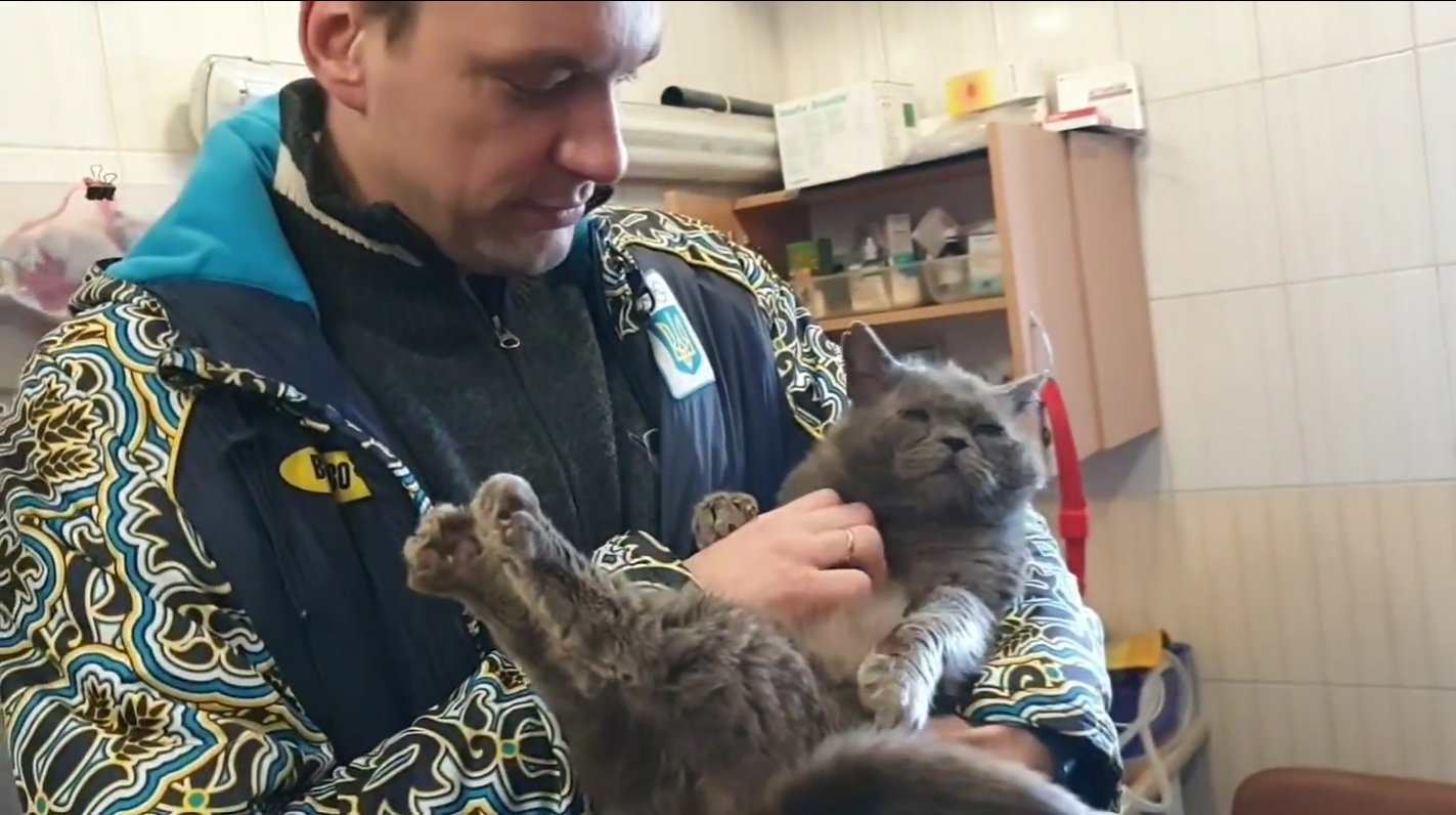 Кіт Бойкот, який ледь не осліп в окопах, у Харкові знайшов новий дім (відео)