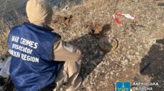 На Харківщині автомобіль підірвався на міні: водій загинув