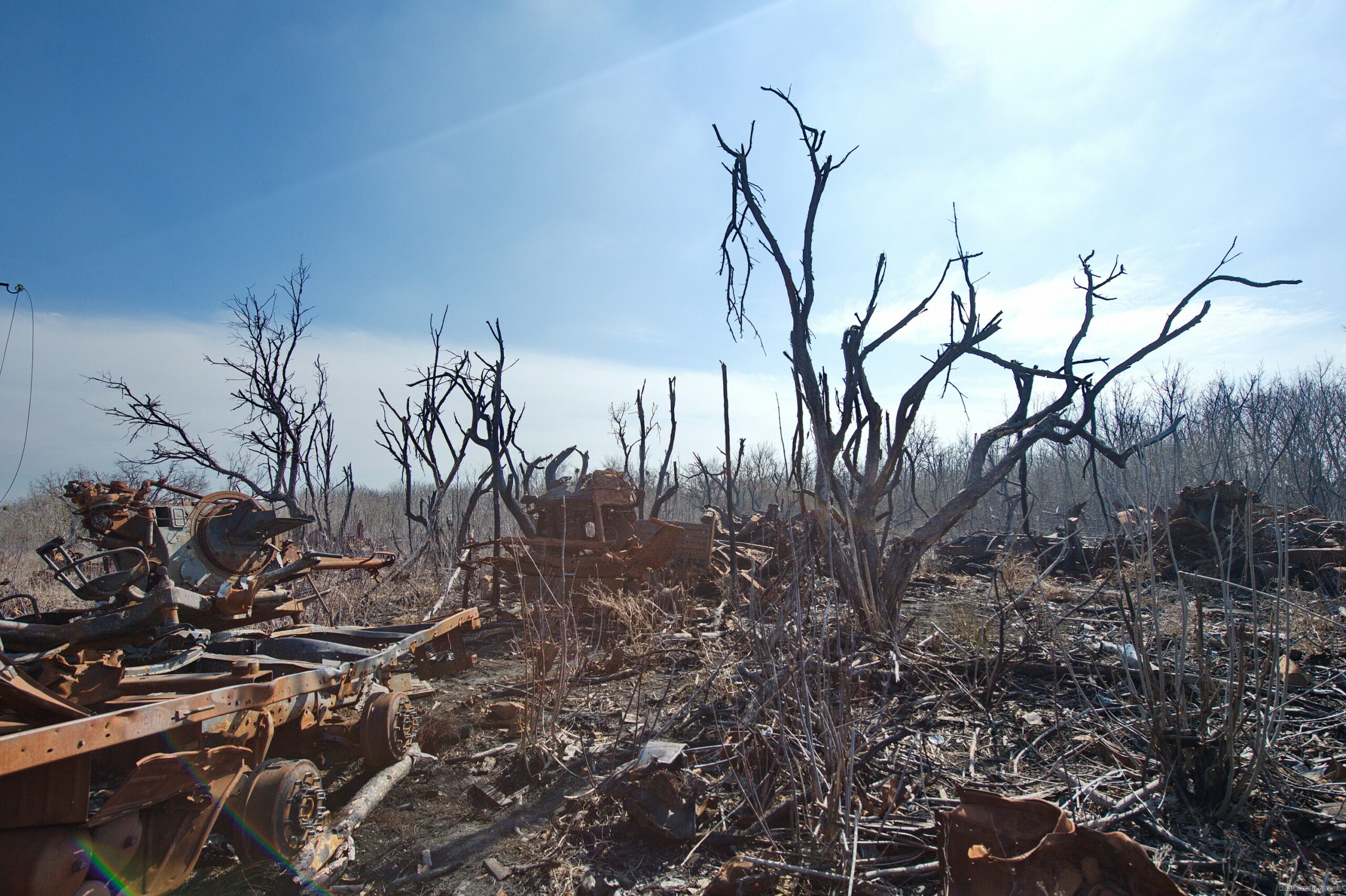 Окупанти ймовірно спалили 20 тис га лісів Харківщини. Збитки – 100 млрд грн