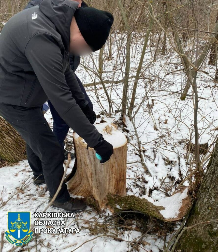 На Харківщині чоловік бензопилою вирубав лісосмугу – прокуратура