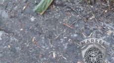 На Харківщині виявлено особливо небезпечну міну: як виглядає і як уберегтися