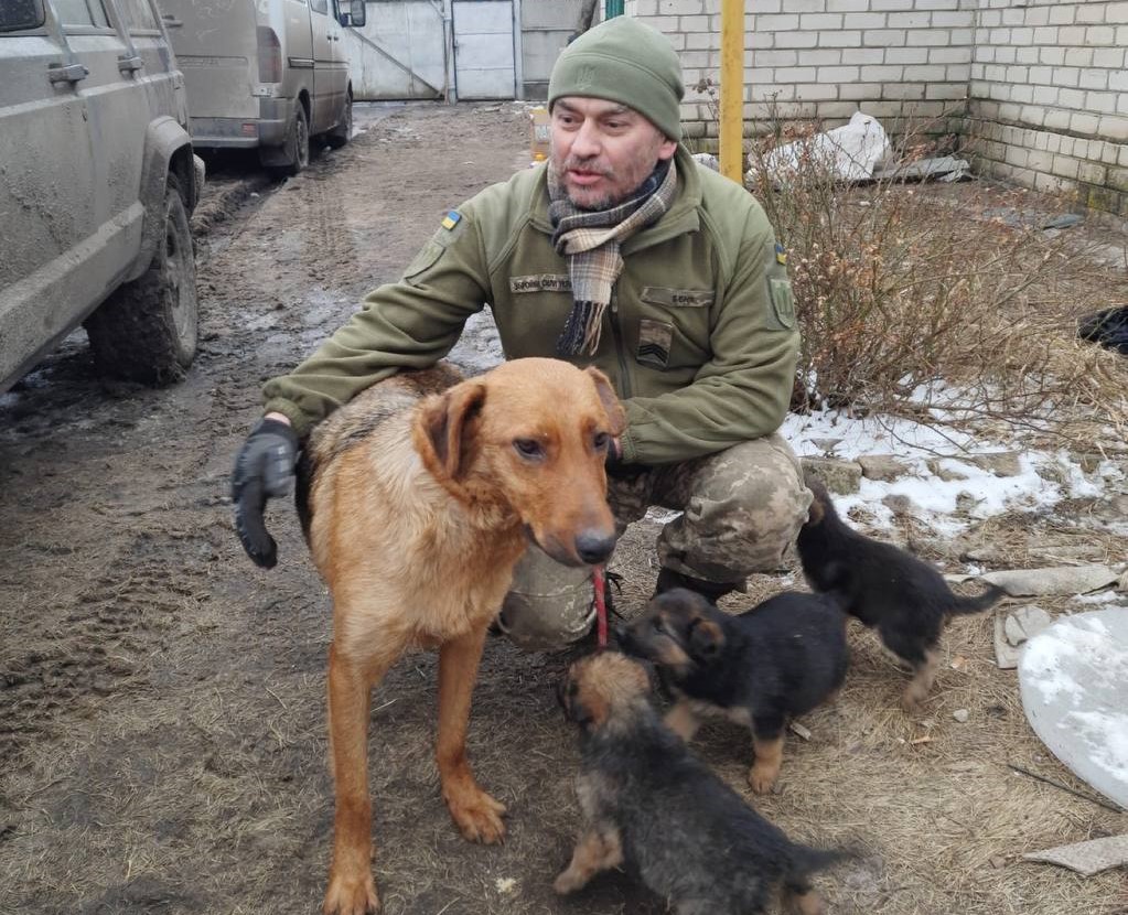 Волонтери шукають дім цуценятам, врятованим військовими на Куп’янщині (відео)